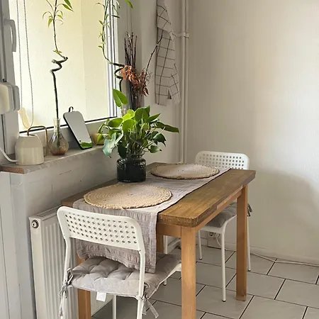 Benzi 에르푸르트