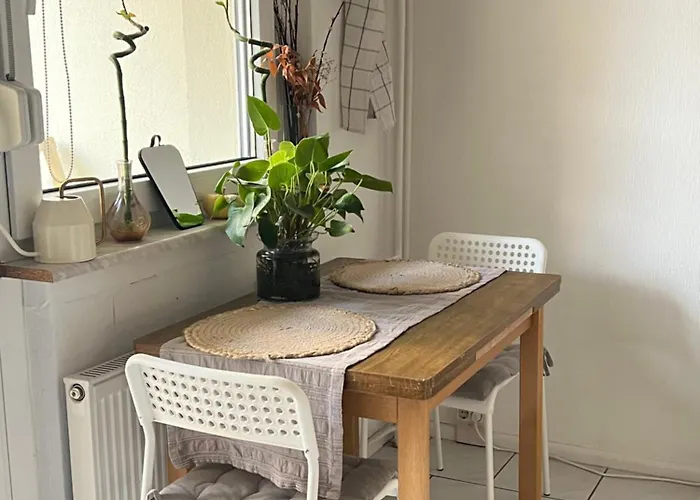 Benzi 에르푸르트